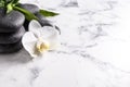 Spa stones, beautiful orchid flower and bamboo sprout on white marble table, space for text Royalty Free Stock Photo