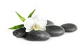 Spa stones, beautiful orchid flower and bamboo sprout on white background Royalty Free Stock Photo