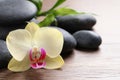 Spa stones, beautiful orchid flower and bamboo sprout on wooden table, closeup. Space for text Royalty Free Stock Photo