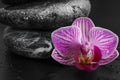 Spa stones and beautiful orchid flower on dark background, closeup Royalty Free Stock Photo