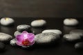Spa stones and beautiful orchid flower on dark table Royalty Free Stock Photo