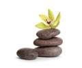 Spa stones with beautiful orchid flower on white Royalty Free Stock Photo