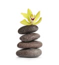 Spa stones with beautiful orchid flower on white Royalty Free Stock Photo