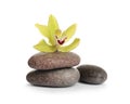 Spa stones with beautiful orchid flower on white Royalty Free Stock Photo