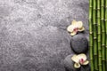 Spa stones, beautiful orchid flowers and bamboo stems on grey table, flat lay. Space for text Royalty Free Stock Photo