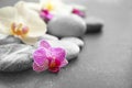 Spa stones and beautiful orchid flowers on grey background Royalty Free Stock Photo