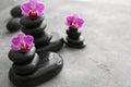 Spa stones and beautiful orchid flowers on grey table Royalty Free Stock Photo