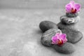 Spa stones and beautiful orchid flowers on grey table Royalty Free Stock Photo