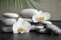 Spa stones and beautiful orchid flowers on grey table Royalty Free Stock Photo