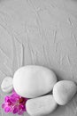 Spa stones and beautiful orchid flowers on grey textured background Royalty Free Stock Photo