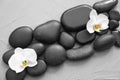 Spa stones and beautiful orchid flowers on grey textured background Royalty Free Stock Photo