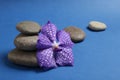 Spa stones with flower on color background Royalty Free Stock Photo