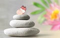 Spa stones with flower lily on light background Royalty Free Stock Photo