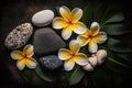 Spa stones and frangipani flower on dark background.