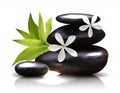 Spa stones with frangipani flower vector Royalty Free Stock Photo