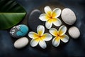 Spa stones with frangipani flowers on black background.