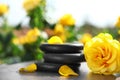 Spa stones and fresh rose on table in garden. Harmony and zen