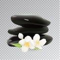 Spa Stones with Jasmine Flower. Vector Illustration. Template Elements for Cosmetic Shop, Spa Salon, Beauty Products Pack