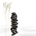 Spa Stones and Natural Grass Royalty Free Stock Photo