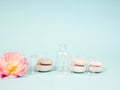 Spa stones, oil bottles and pink flower on white background Royalty Free Stock Photo