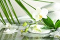 Spa stones, orchid and bamboo leaves in water