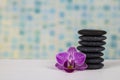 Spa stones and orchid close-up. Royalty Free Stock Photo