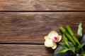 Spa stones, orchid flower and bamboo stems on wooden background, flat lay. Space for text Royalty Free Stock Photo