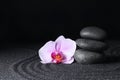 Spa stones and orchid flower on black sand with pattern, space for text. Zen concept Royalty Free Stock Photo
