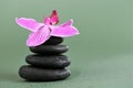 Spa Stones and Orchid Flower. Massage Stone. Black stones and pink orchid flower in water drops on green background Royalty Free Stock Photo