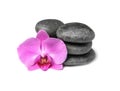 Spa stones with orchid flower Royalty Free Stock Photo