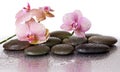 Spa stones and orchid flowers and black stones Royalty Free Stock Photo