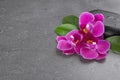 Spa stones and orchid flowers on grey . Space for text Royalty Free Stock Photo