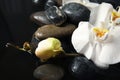 Spa stones and orchid flowers in water on background, closeup. Zen lifestyle Royalty Free Stock Photo