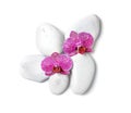 Spa stones with orchid flowers on white background Royalty Free Stock Photo