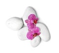 Spa stones with orchid flowers on white background Royalty Free Stock Photo