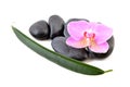 Spa stones and pink orchid. Royalty Free Stock Photo