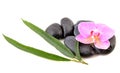 Spa stones and pink orchid. Royalty Free Stock Photo