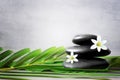 Spa stones with palm branch and white flower on light background Royalty Free Stock Photo