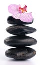Spa stones with pink flower Royalty Free Stock Photo