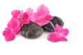 Spa stones with pink flowers. Spa wellness concept Royalty Free Stock Photo