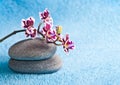 Spa stones and pink orchid