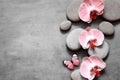 Spa stones and pink orchid on grey background and butterfly. Royalty Free Stock Photo