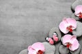 Spa stones and pink orchid on grey background and butterfly. Royalty Free Stock Photo