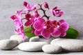 Spa stones and pink orchid on grey background.