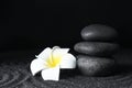 Spa stones and plumeria flower on black sand with pattern, space for text. Zen concept Royalty Free Stock Photo