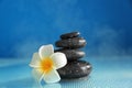 Spa stones with plumeria flower Royalty Free Stock Photo