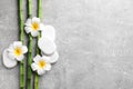 Spa stones, plumeria flowers and bamboo stems on light grey table, flat lay. Space for text Royalty Free Stock Photo