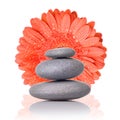 Spa stones with red gerbera Royalty Free Stock Photo