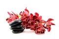 Spa stones with red orchid Royalty Free Stock Photo