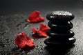 Spa stones and rose petals over black